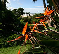 1009 cintsa IMG_3987.JPG